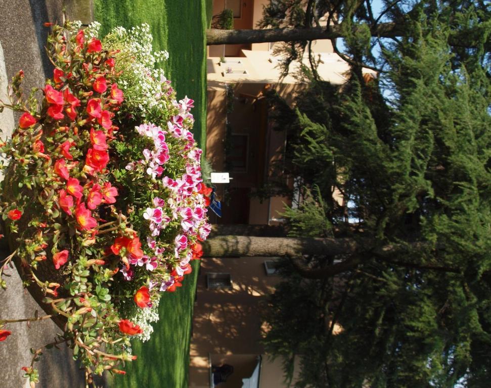Residence La Madonnina Peschiera del Garda Exterior foto